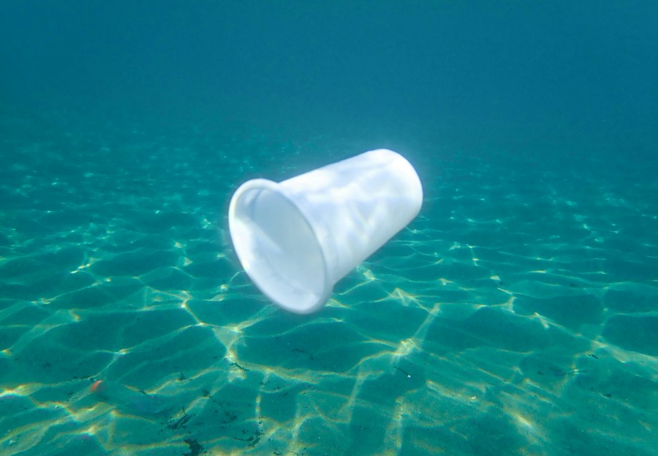 Plastikforskning i verdenshavene.. – ONN.dk